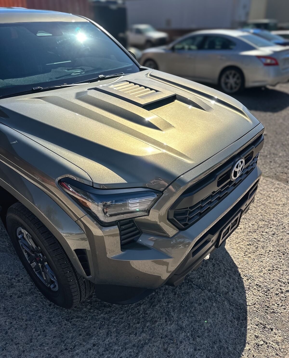 Premium protection services by Premium Auto Solutions in Montrose, CO.