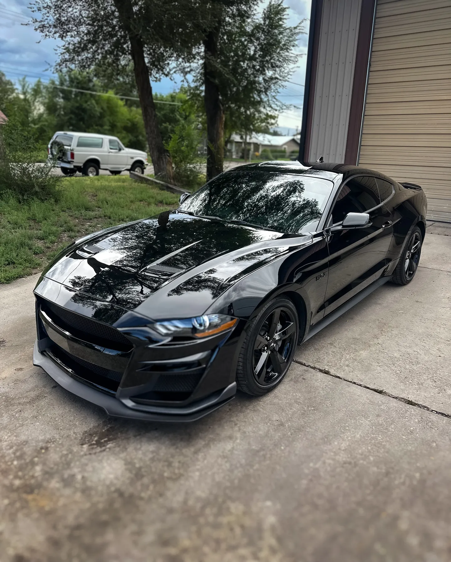 Professional Window Tinting Services in Montrose, CO at Premium Auto Solution